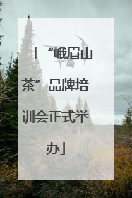 “峨眉山茶”品牌培训会正式举办